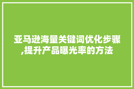 亚马逊海量关键词优化步骤,提升产品曝光率的方法