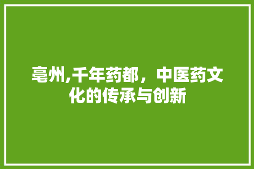 亳州,千年药都，中医药文化的传承与创新