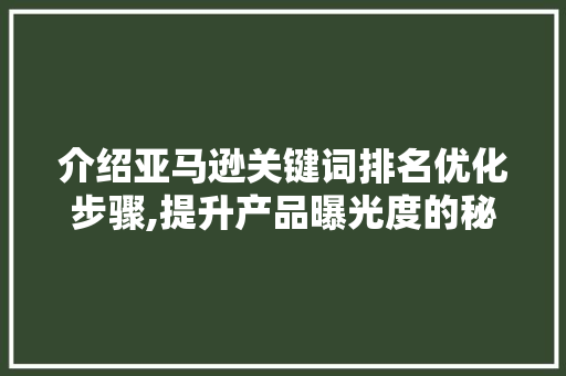 介绍亚马逊关键词排名优化步骤,提升产品曝光度的秘密武器