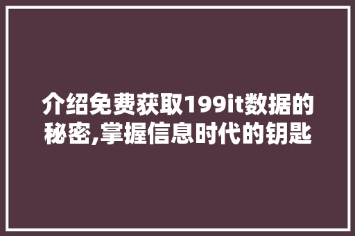 介绍免费获取199it数据的秘密,掌握信息时代的钥匙