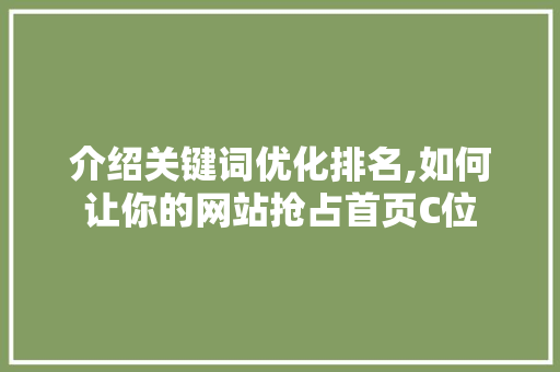 介绍关键词优化排名,如何让你的网站抢占首页C位