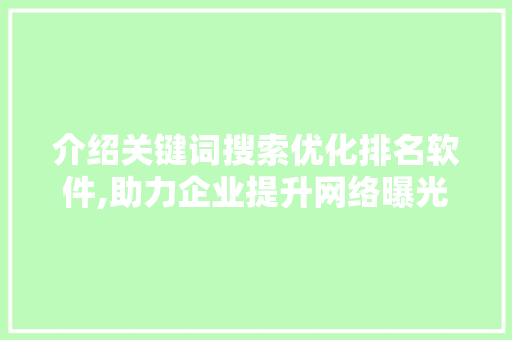介绍关键词搜索优化排名软件,助力企业提升网络曝光度的秘密武器