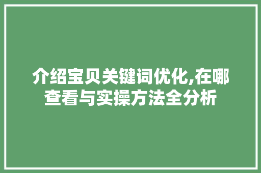 介绍宝贝关键词优化,在哪查看与实操方法全分析