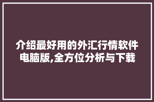 介绍最好用的外汇行情软件电脑版,全方位分析与下载指南
