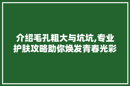 介绍毛孔粗大与坑坑,专业护肤攻略助你焕发青春光彩