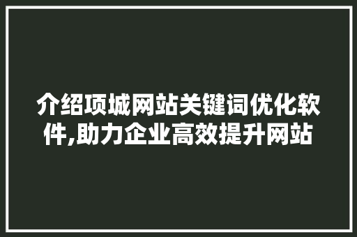 介绍项城网站关键词优化软件,助力企业高效提升网站排名