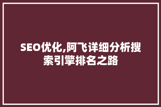SEO优化,阿飞详细分析搜索引擎排名之路