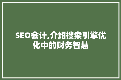 SEO会计,介绍搜索引擎优化中的财务智慧