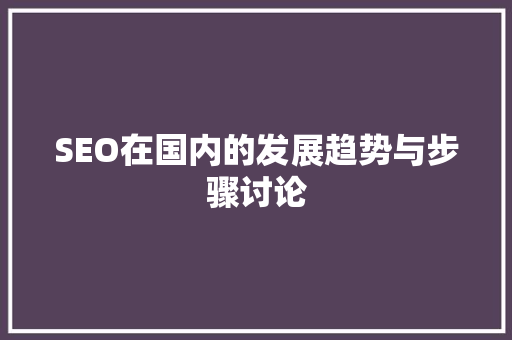 SEO在国内的发展趋势与步骤讨论