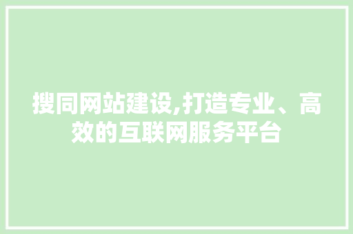 搜同网站建设,打造专业、高效的互联网服务平台