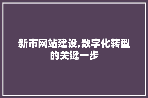 新市网站建设,数字化转型的关键一步