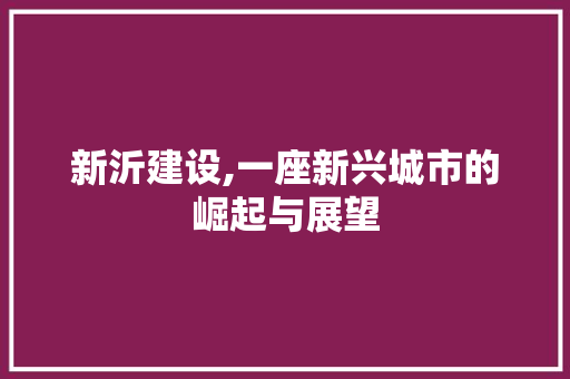 新沂建设,一座新兴城市的崛起与展望