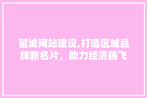 望城网站建设,打造区域品牌新名片，助力经济腾飞