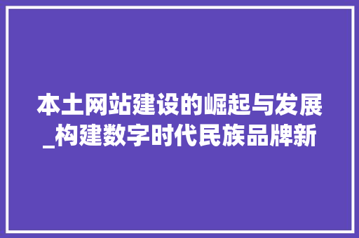 本土网站建设的崛起与发展_构建数字时代民族品牌新阵地