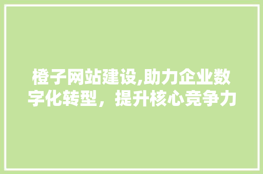 橙子网站建设,助力企业数字化转型，提升核心竞争力