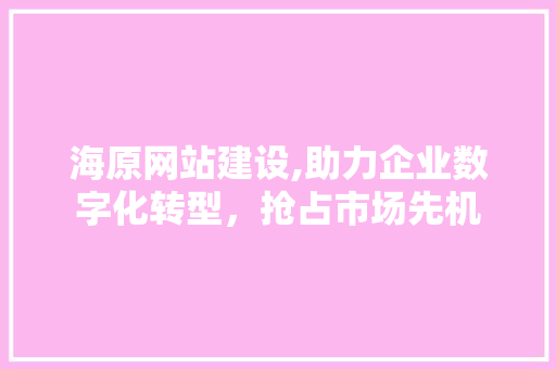 海原网站建设,助力企业数字化转型，抢占市场先机