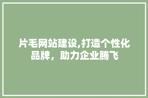 片毛网站建设,打造个性化品牌，助力企业腾飞
