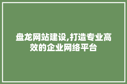 盘龙网站建设,打造专业高效的企业网络平台