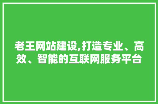 老王网站建设,打造专业、高效、智能的互联网服务平台