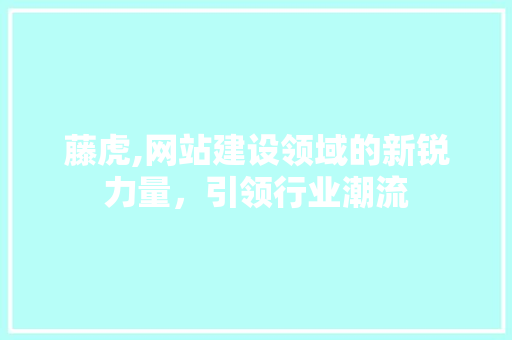 藤虎,网站建设领域的新锐力量，引领行业潮流