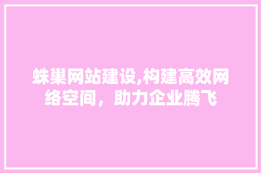 蛛巢网站建设,构建高效网络空间，助力企业腾飞