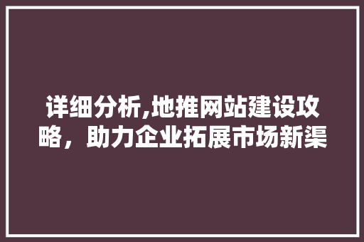 详细分析,地推网站建设攻略，助力企业拓展市场新渠道