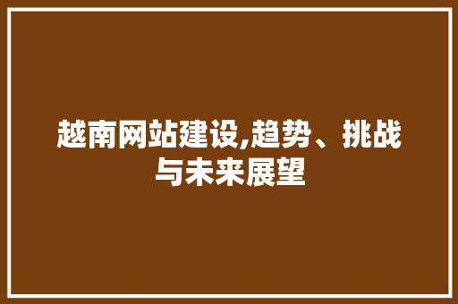 越南网站建设,趋势、挑战与未来展望