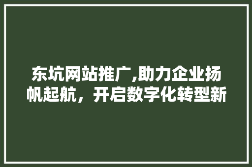 东坑网站推广,助力企业扬帆起航，开启数字化转型新篇章