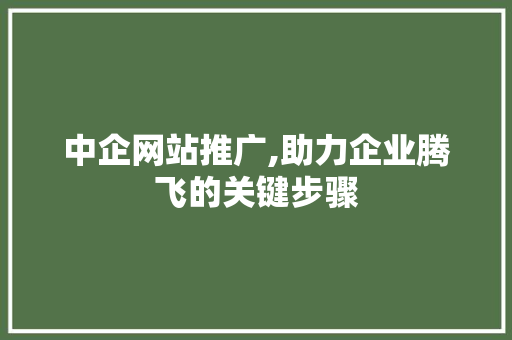 中企网站推广,助力企业腾飞的关键步骤