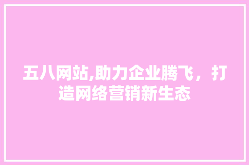 五八网站,助力企业腾飞，打造网络营销新生态