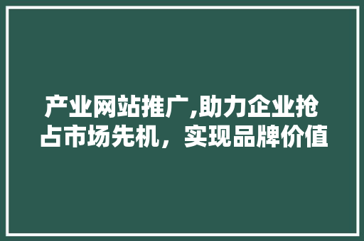 产业网站推广,助力企业抢占市场先机，实现品牌价值最大化