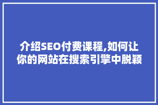 介绍SEO付费课程,如何让你的网站在搜索引擎中脱颖而出
