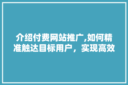 介绍付费网站推广,如何精准触达目标用户，实现高效转化
