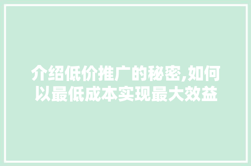 介绍低价推广的秘密,如何以最低成本实现最大效益