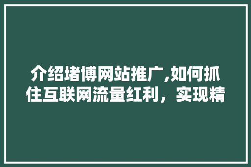 介绍堵博网站推广,如何抓住互联网流量红利，实现精准营销