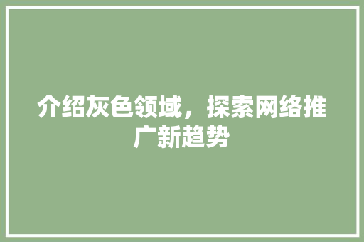 介绍灰色领域，探索网络推广新趋势
