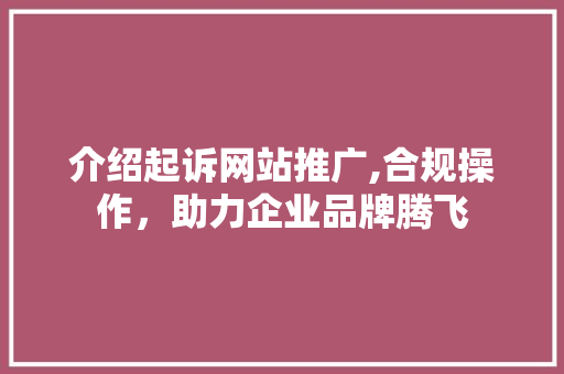 介绍起诉网站推广,合规操作，助力企业品牌腾飞
