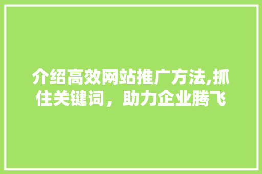 介绍高效网站推广方法,抓住关键词，助力企业腾飞