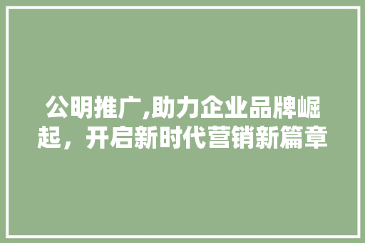 公明推广,助力企业品牌崛起，开启新时代营销新篇章