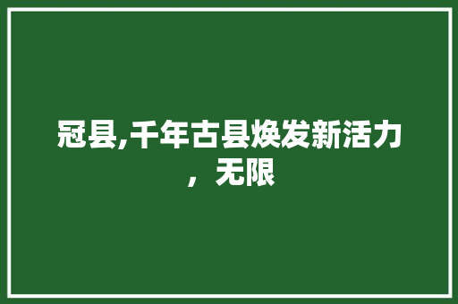 冠县,千年古县焕发新活力，无限