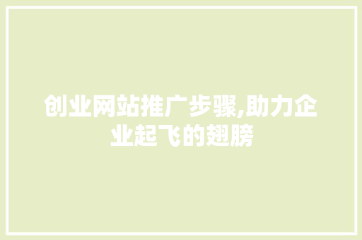 创业网站推广步骤,助力企业起飞的翅膀
