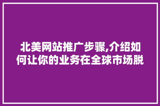 北美网站推广步骤,介绍如何让你的业务在全球市场脱颖而出