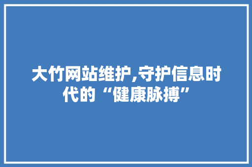 大竹网站维护,守护信息时代的“健康脉搏”