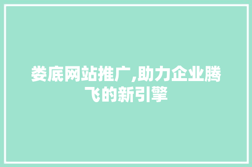 娄底网站推广,助力企业腾飞的新引擎