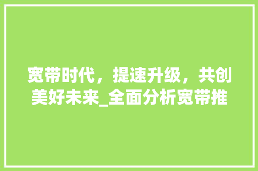 宽带时代，提速升级，共创美好未来_全面分析宽带推广的重要性与步骤
