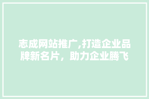 志成网站推广,打造企业品牌新名片，助力企业腾飞