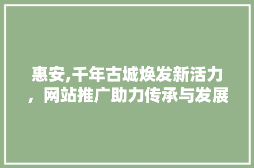 惠安,千年古城焕发新活力，网站推广助力传承与发展