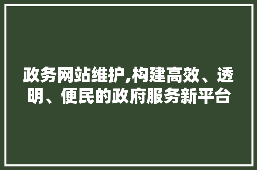 政务网站维护,构建高效、透明、便民的政府服务新平台