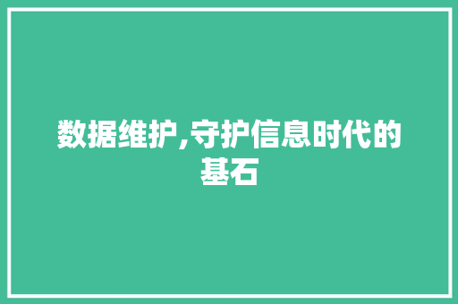 数据维护,守护信息时代的基石