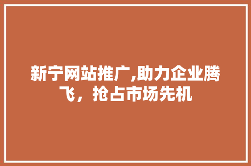 新宁网站推广,助力企业腾飞，抢占市场先机